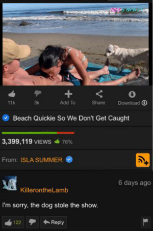 Beach quickie dont caught