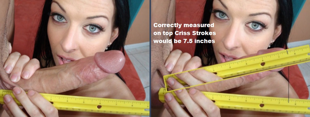 best of Penises getting measured Pornstars