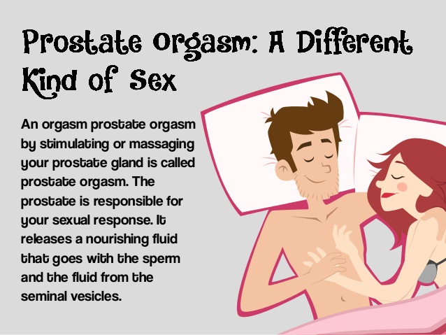 Spinal chord responsible for orgasm