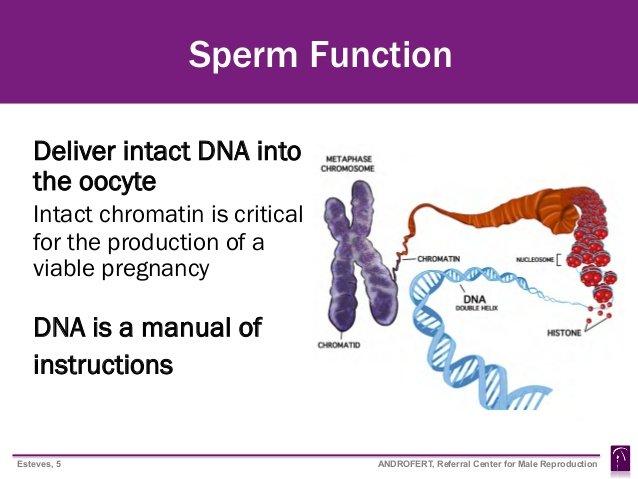 Sperm Donor Impregnates All of KRP.