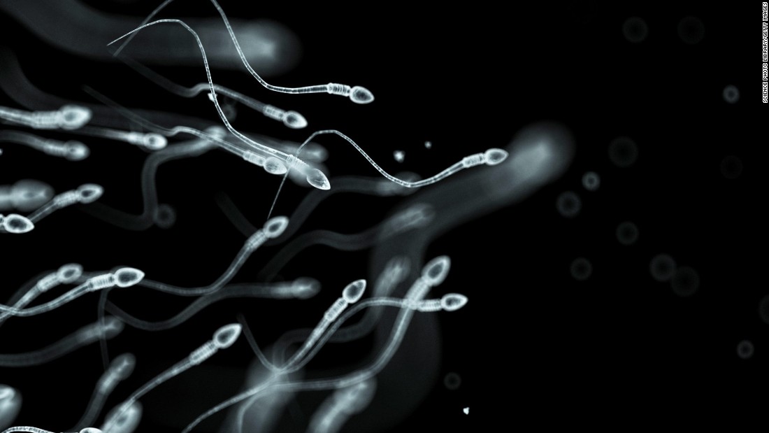 Sperm travel info
