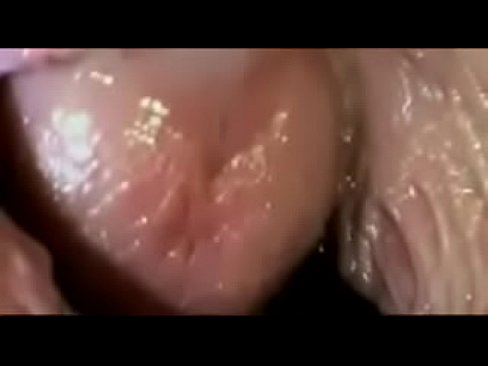 Flowerhorn reccomend What the inside of a pussy during intercourse