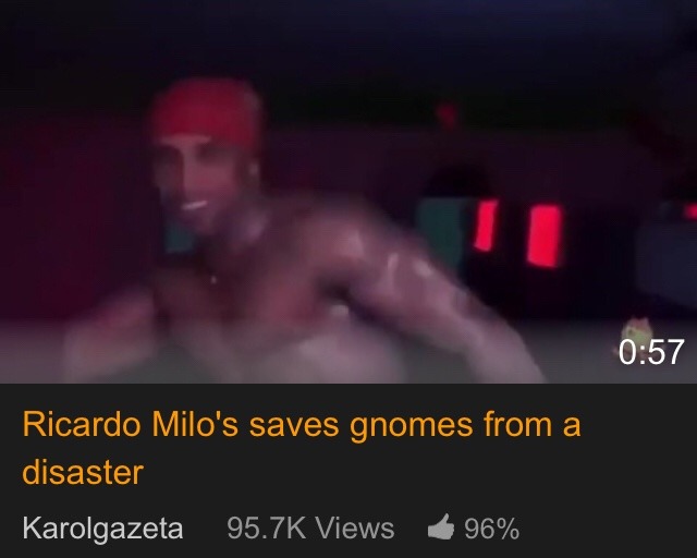 Milos saves gnomes disaster