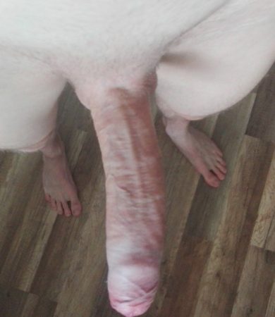 best of With perfect white smooth penis