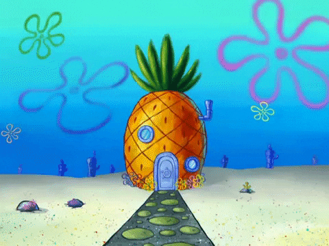 Bikini bottom and spongebob