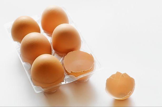 best of During Eggs penetration insert