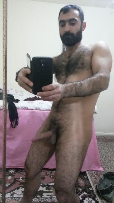Nude Persian