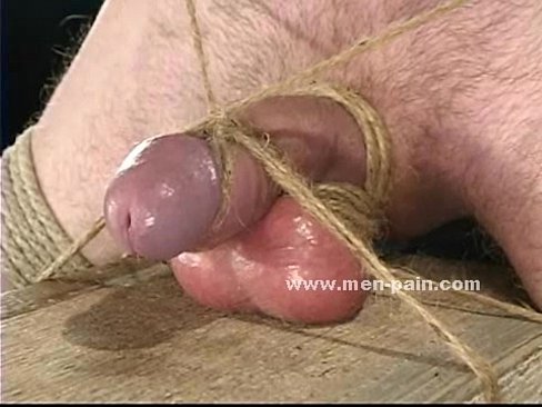 best of In knot tied Cock