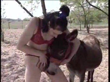 Donkey with woman sex
