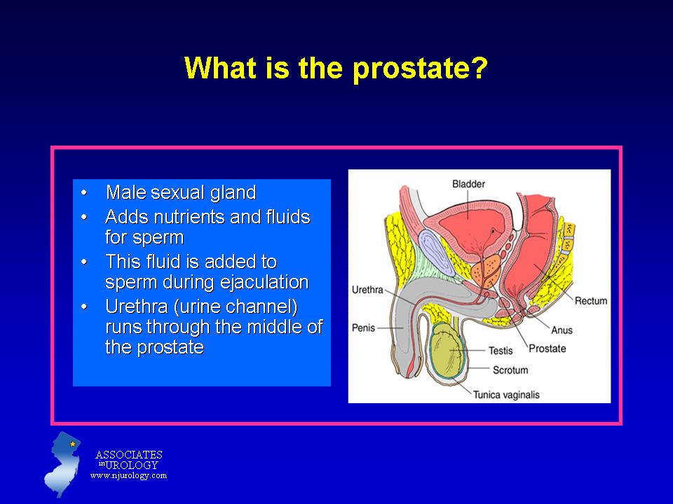 best of For prostate after Masturbation seeds inplant