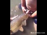 Guy having sex with a fish porn