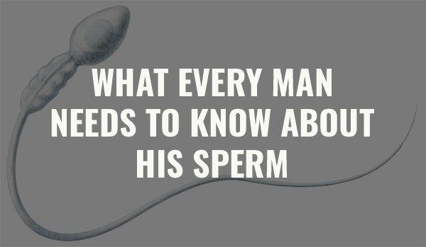 Fendi reccomend Man sperm balls
