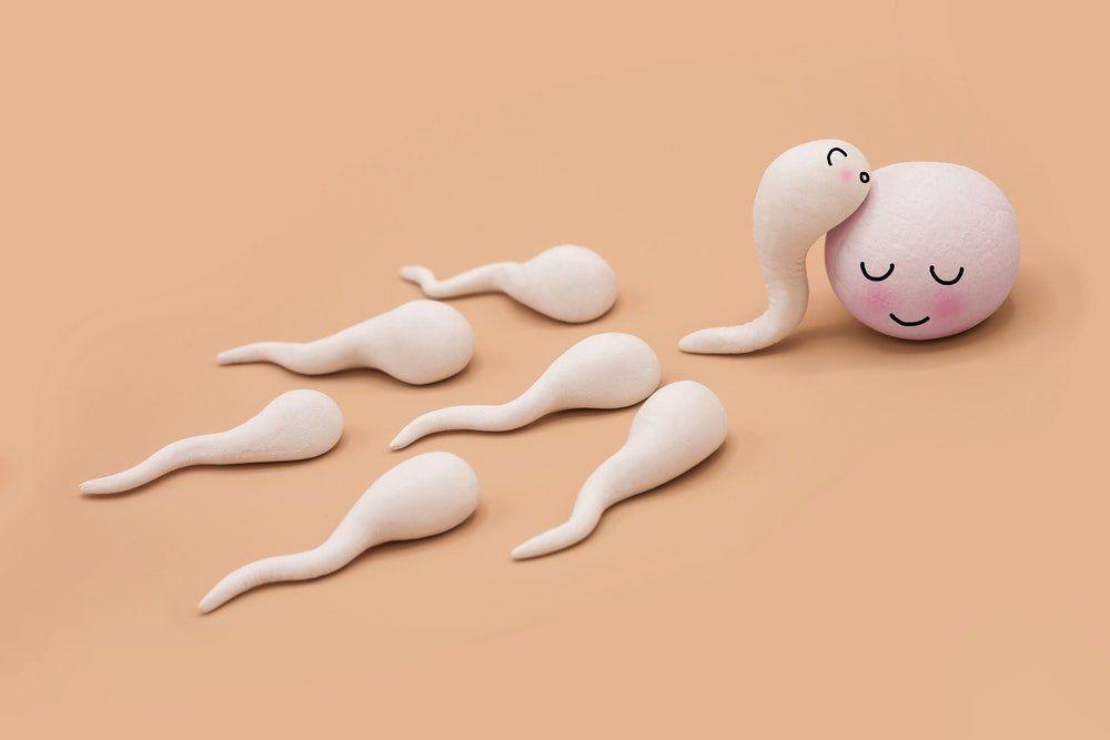 best of For sperm bad Alcohol