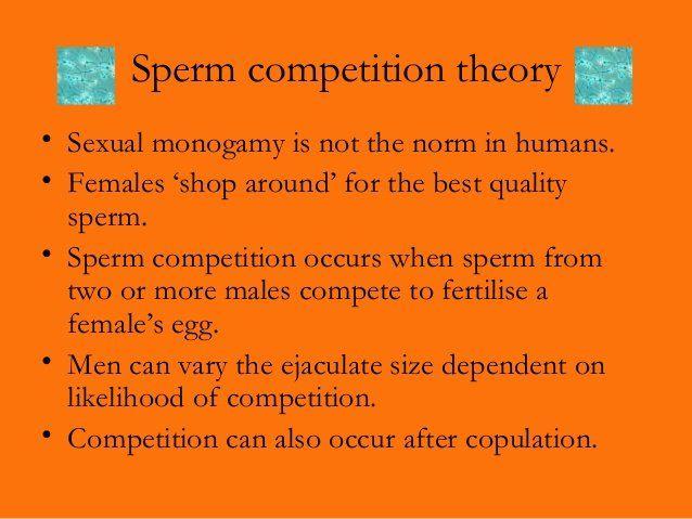 Inspector reccomend Sperm competition in humans
