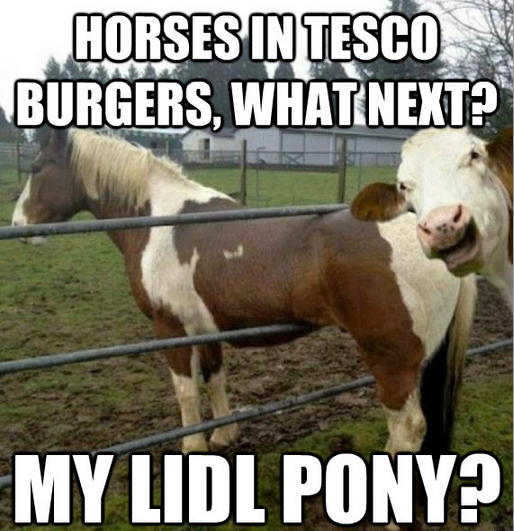 Best tesco horse meat jokes