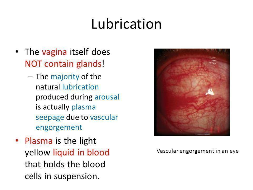 best of The vagina that lubricate Glands