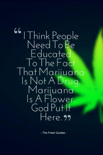 best of Phrases about weed Funny