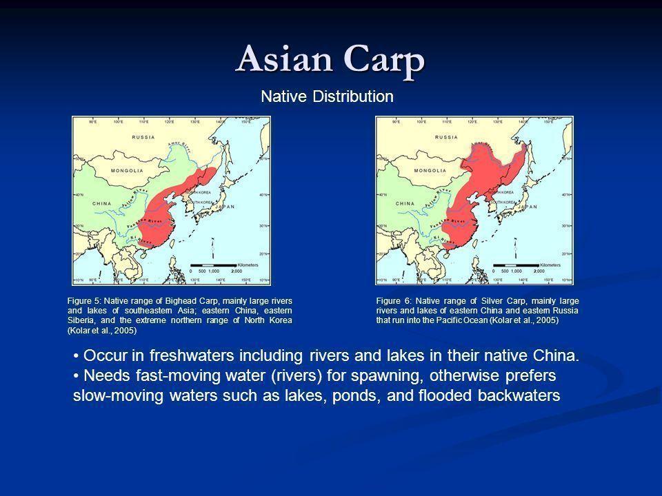 best of Carp statement Asian thesis
