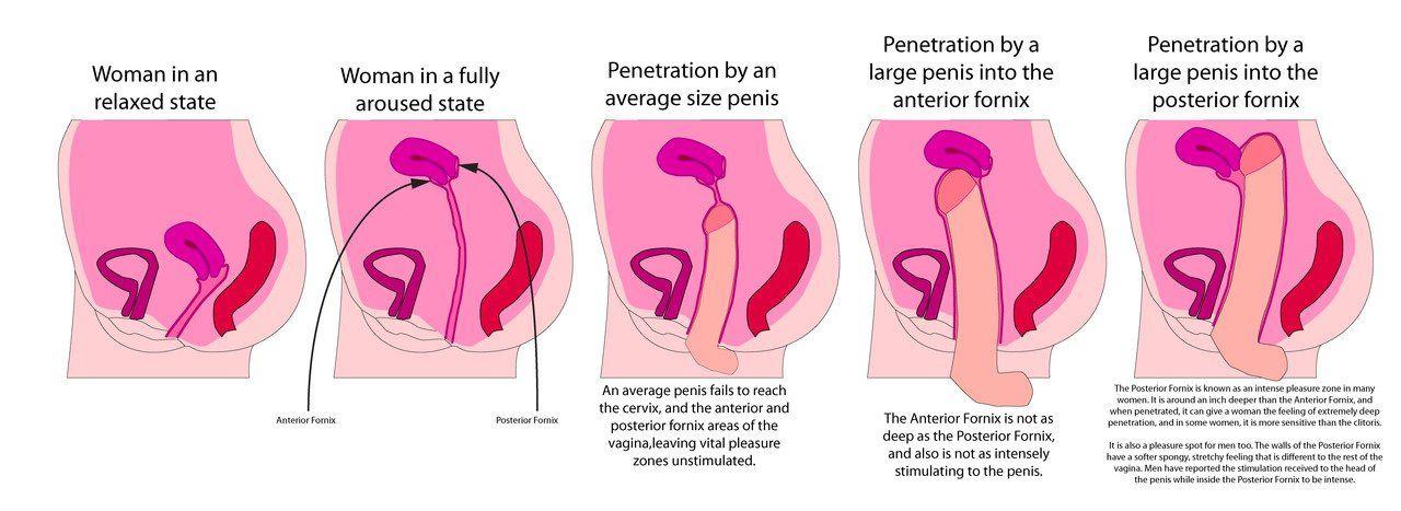 Deepest vagina penetration
