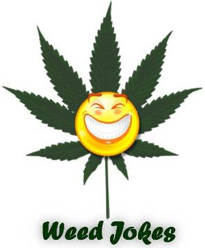 Funny phrases about weed