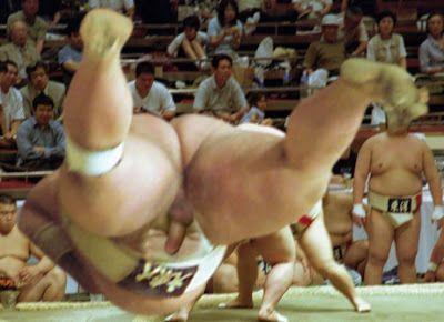 best of Sumo gay orn Chubby