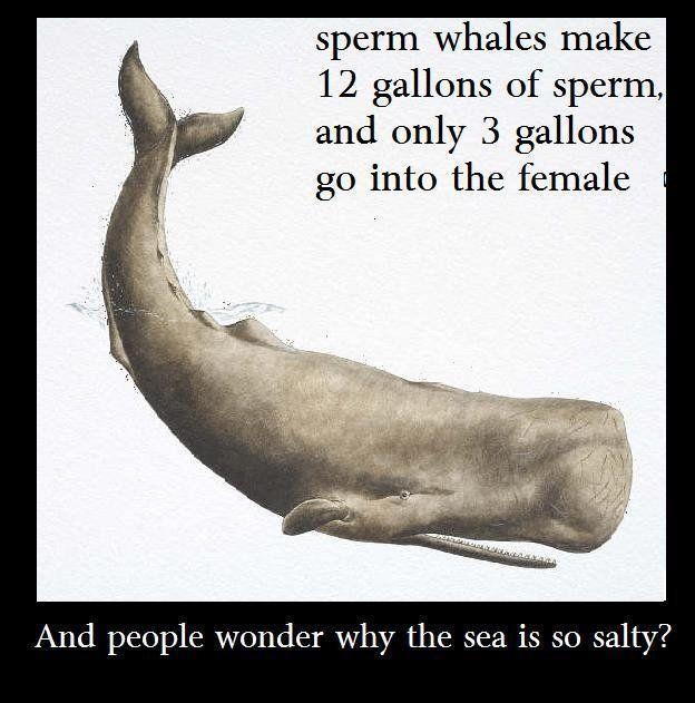 Mastadon reccomend Why is sperm salty