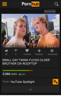 Gay twinl clips