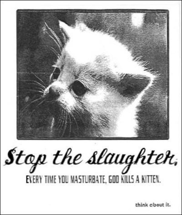 Everytime god kill kitten masturbate picture