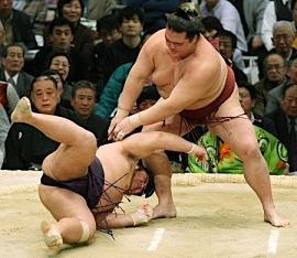 Big dick sumo wrestlers
