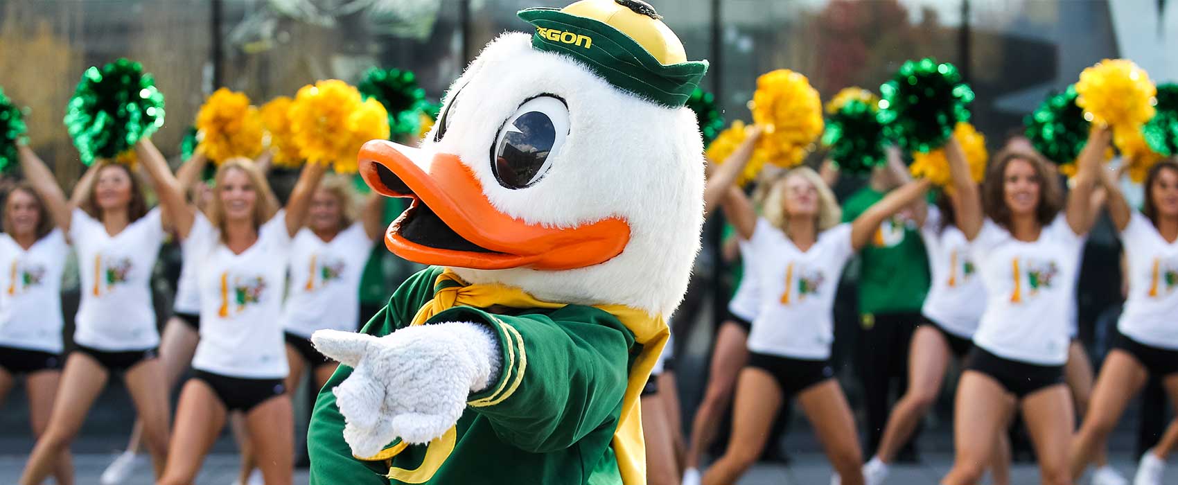 Popeye recommend best of oregon ducks cheerleaders University
