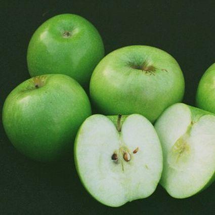 Sierra reccomend Granny smith apple tree mature size