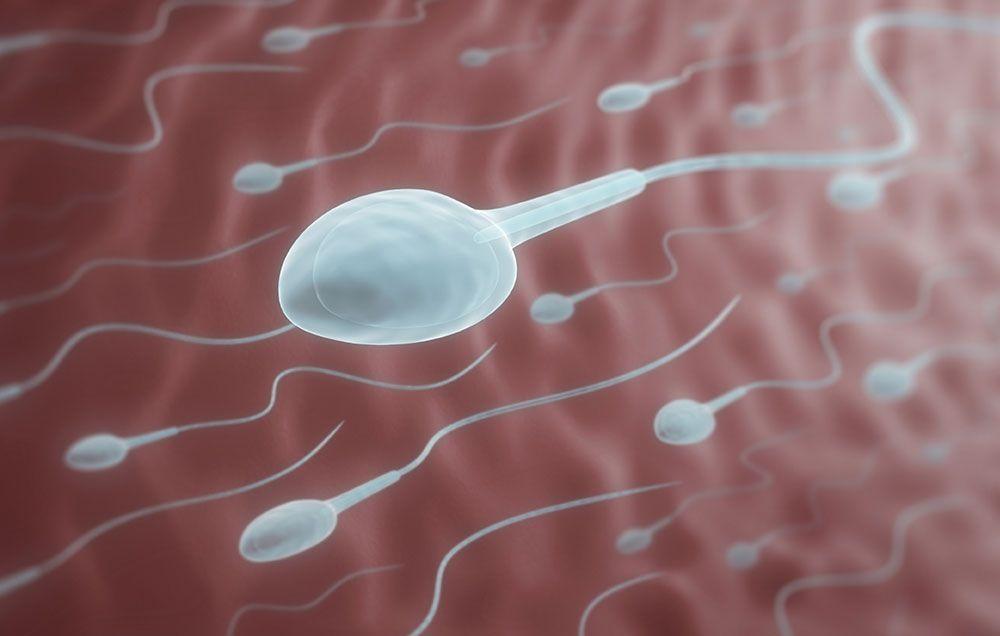 best of Live swallowed when sperm Do