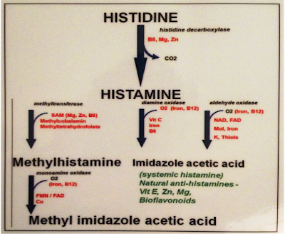 Histamine build up orgasm
