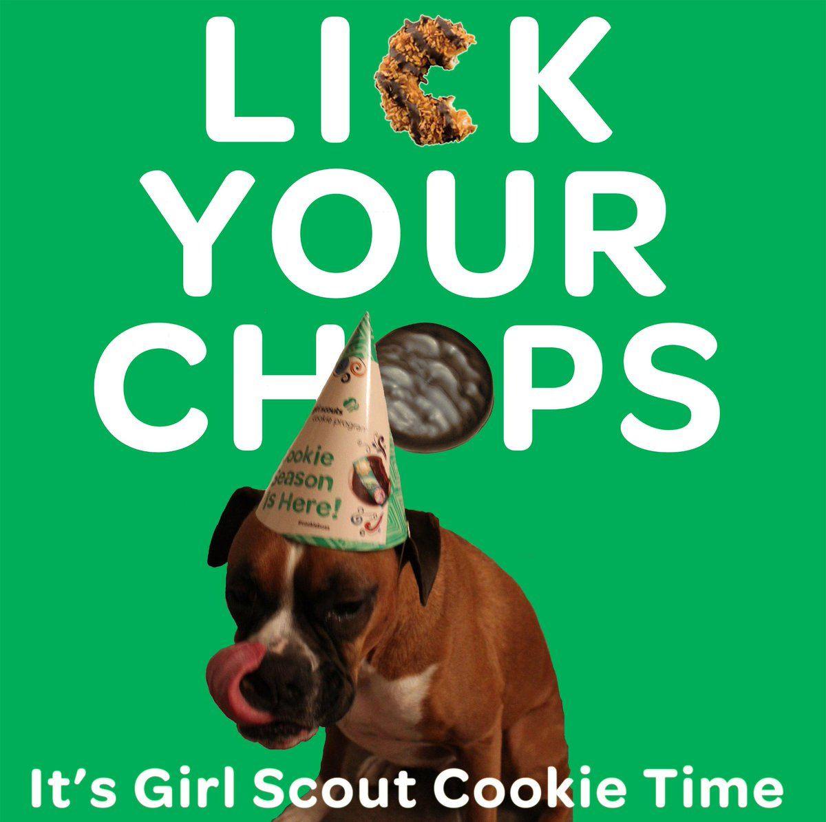 best of Lick scout girl like I cookies to