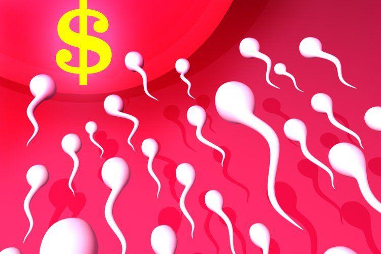 Sperm banks in the united states