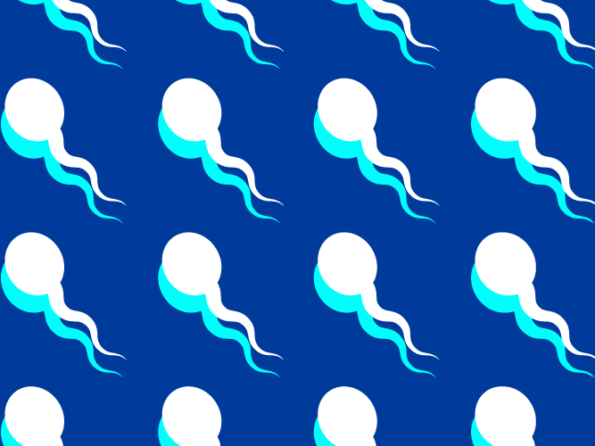 How far can sperm travel facts