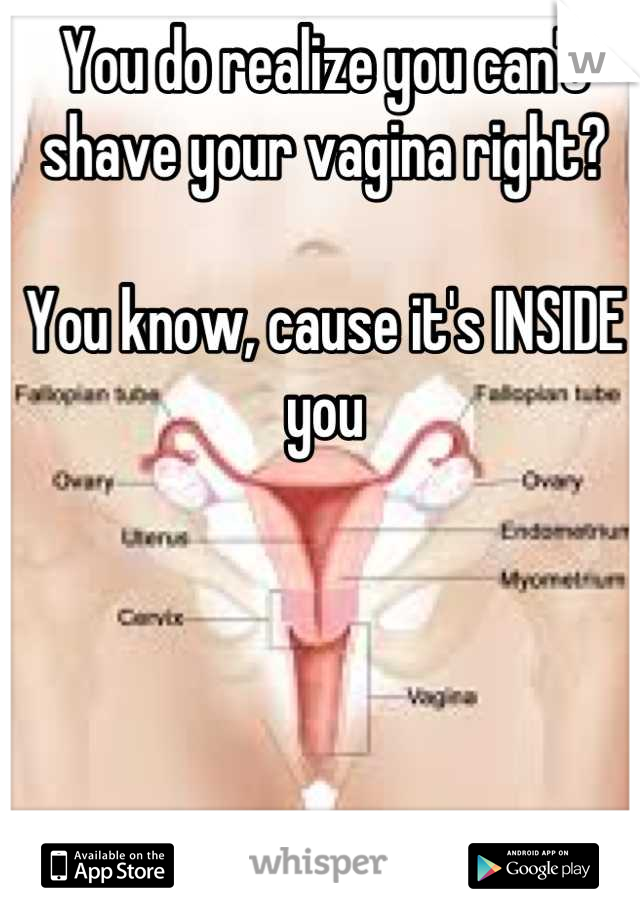 Blue E. reccomend Good ways to shave your vagina