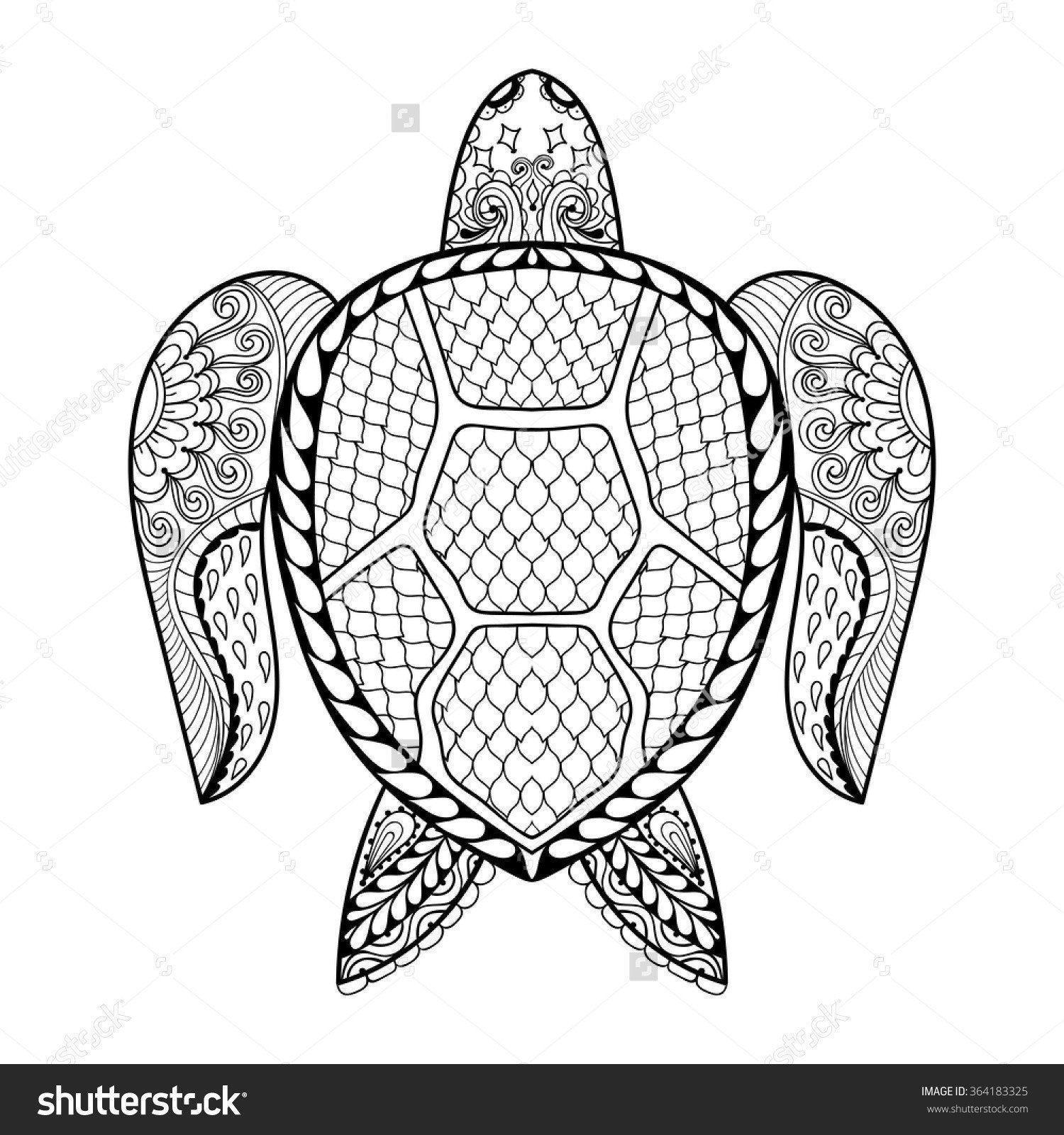 best of Pages Adult coloring sea turtle