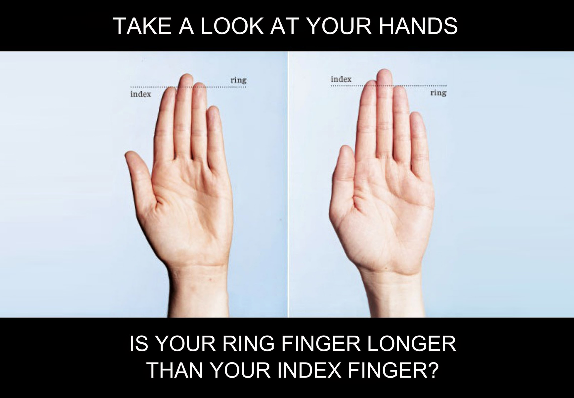 Ring and index finger length gay