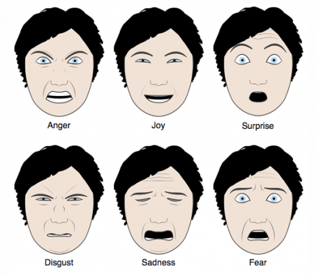 Facial expressions in nonverbal communication