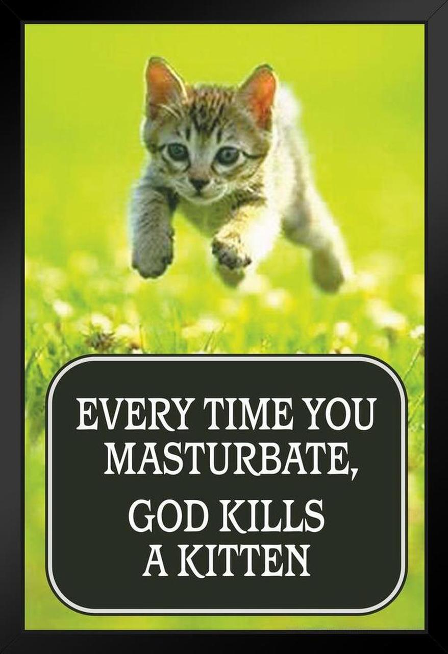best of Masturbate kill kitten Everytime picture god