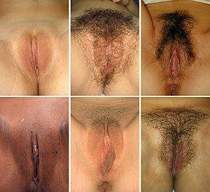 best of Woman shaved cleft Adult labia