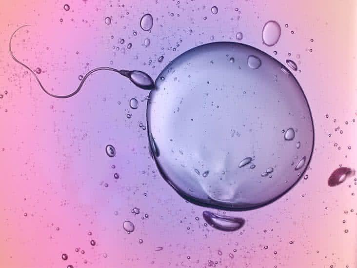 Lifespan of sperm in water