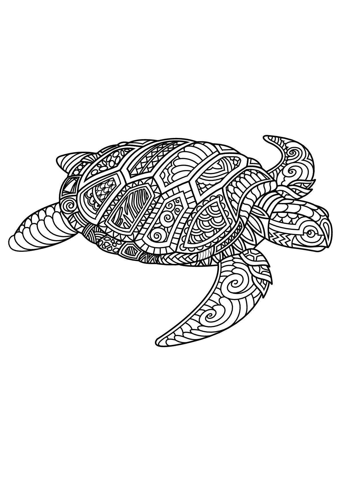 Adult sea turtle coloring pages