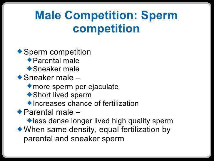 Sperm competition in humans