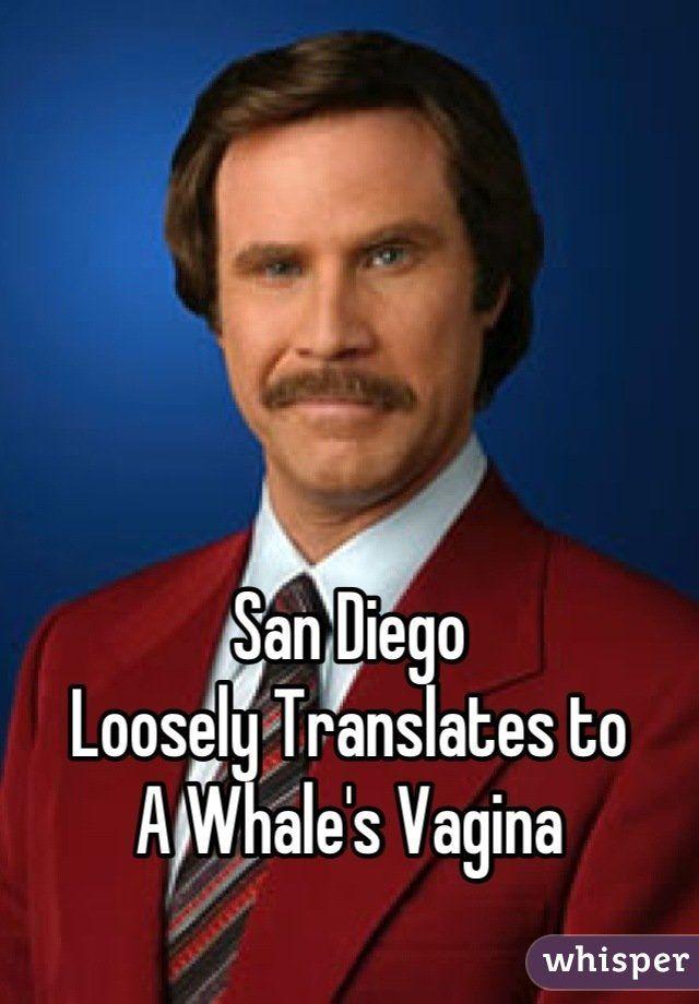 best of Whales San diego vagina a