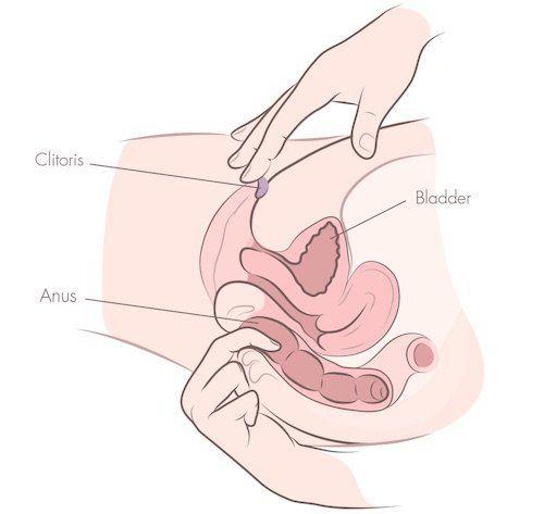 Roma reccomend How to finger yourself masturbate