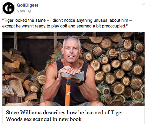 Doppler reccomend Tiger woods sex blog