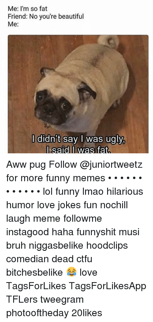 Ugly pug jokes