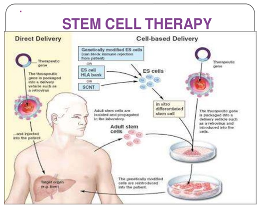 best of Stem therapy Adult cell